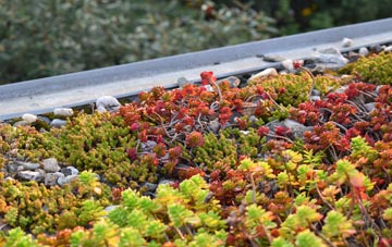 the cost of Tai Morfa green roof installation