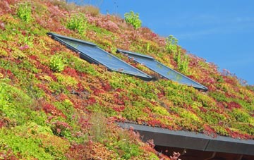 Tai Morfa living roof systems