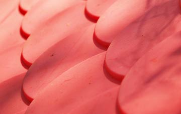 Tai Morfa plastic roof costs