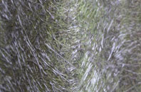 Tai Morfa fibreglass roof work